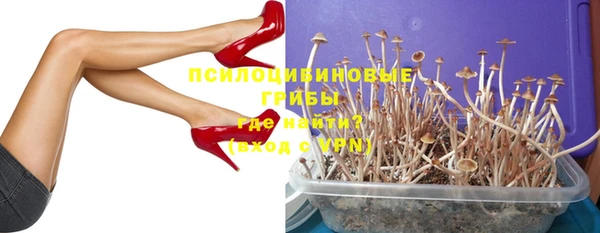 шишки Алексеевка