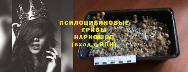 шишки Алексеевка