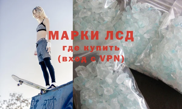 стафф Алзамай