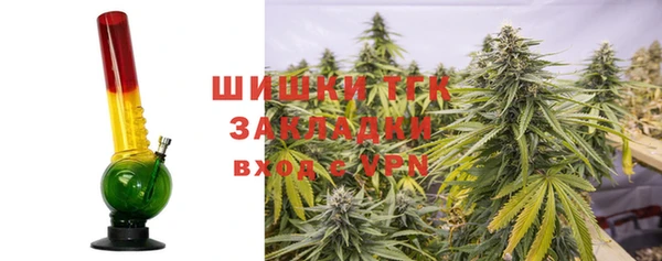 шишки Алексеевка