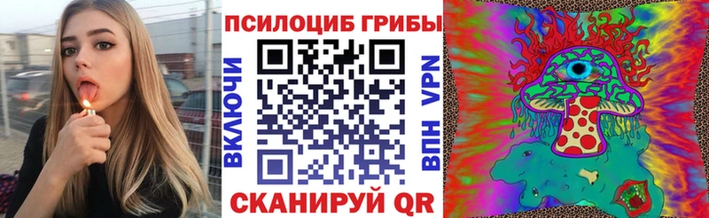 блэк спрут ссылки  Сокол  Псилоцибиновые грибы MAGIC MUSHROOMS 