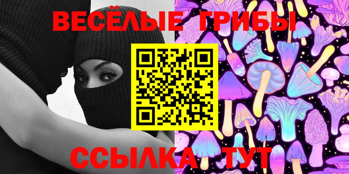 Галлюциногенные грибы GOLDEN TEACHER Сокол